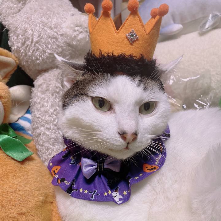 907bf5c2 11f2 4717 b787 07b5a5d71742 1667138301181