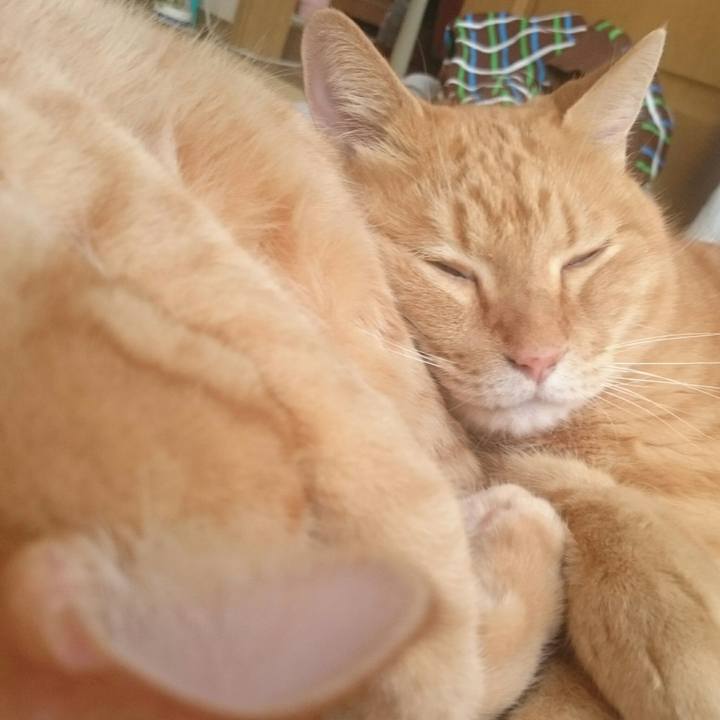 907c16da 2b96 4a89 85b0 a297753caf4d 1537494012491