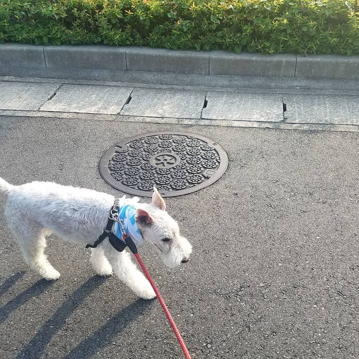 907c2340 dd6b 469e 97fa e04e0297fe44 1596668190344