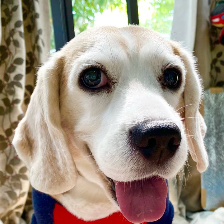 907c2db8 5976 4846 bd84 df5dfbc77876 1651119747648