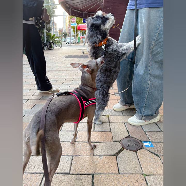 907c6ece 8a8a 462f 9ad4 3879579be8bf 1759742160803