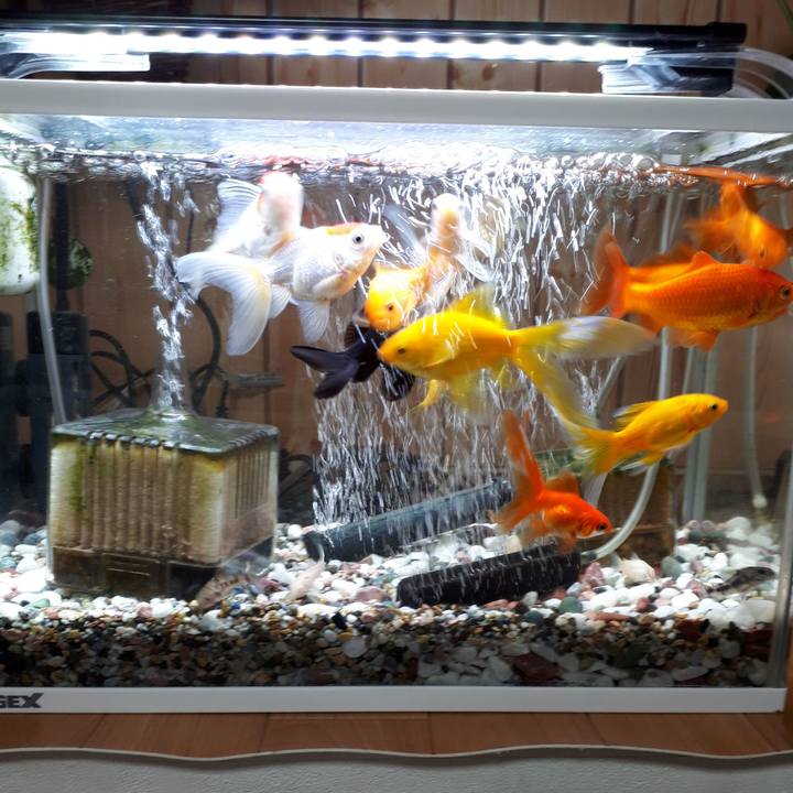 907c7224 6e74 4a23 81b4 6dbae748b3be 1518726520455