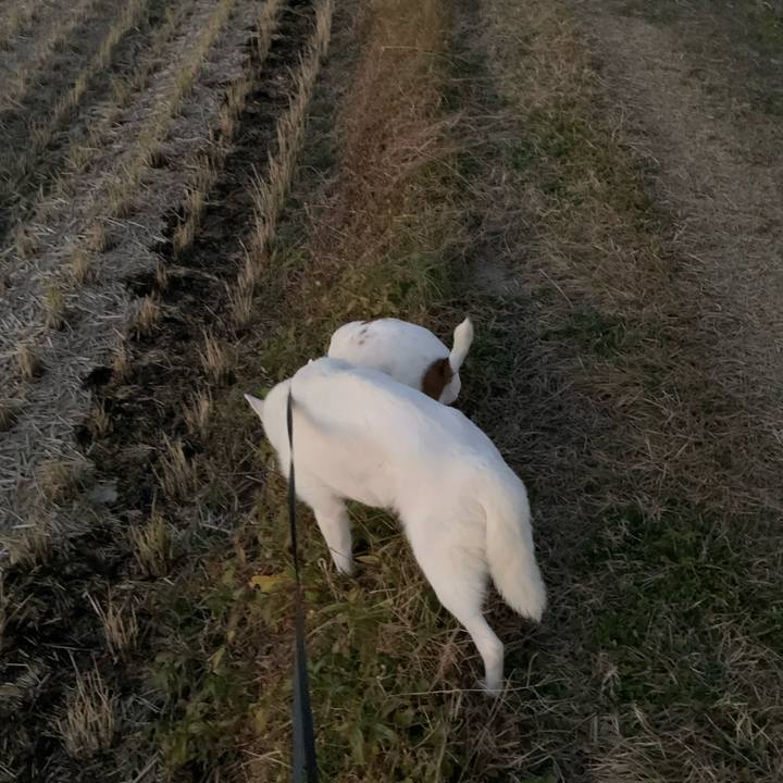 907c7634 e7bd 4651 9396 a783324cb317 1576402098693