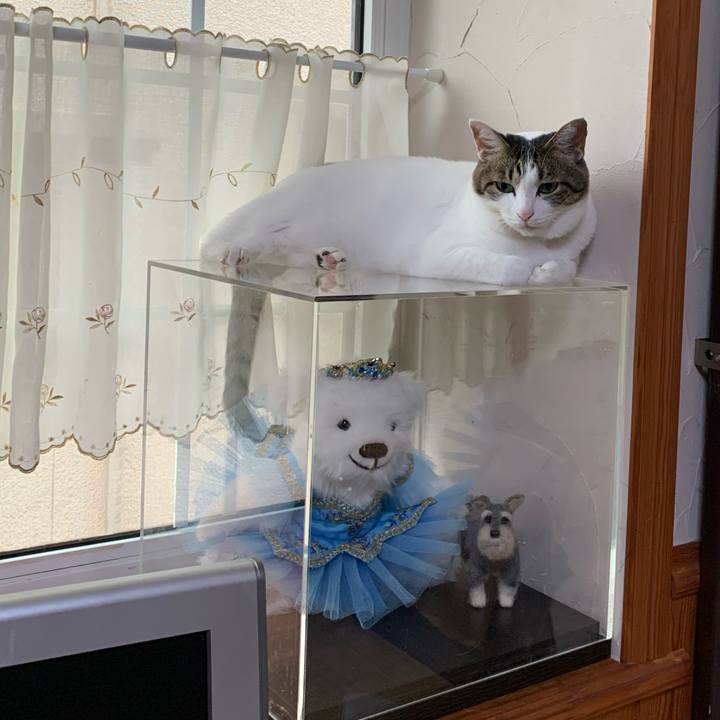 907c8b67 2f8c 466b 9880 b1f3ca995593 1632783472706