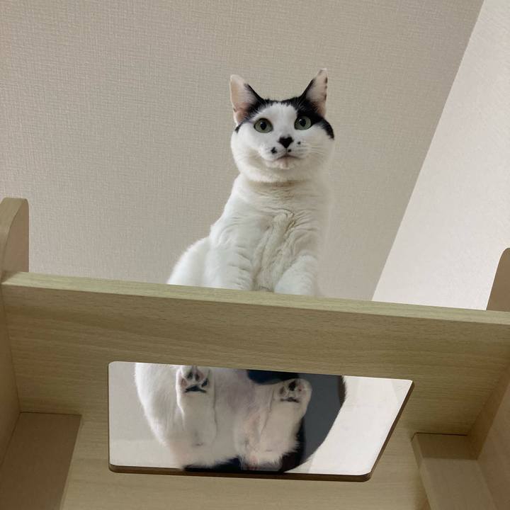 907ca7de 2732 4e5c b9ae 4845ab75b3e7 1768484886743