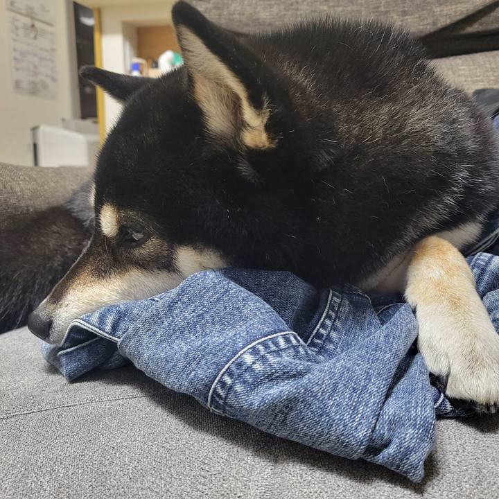 907ce7d8 955e 498a b49d 61544c762158 1773320779068