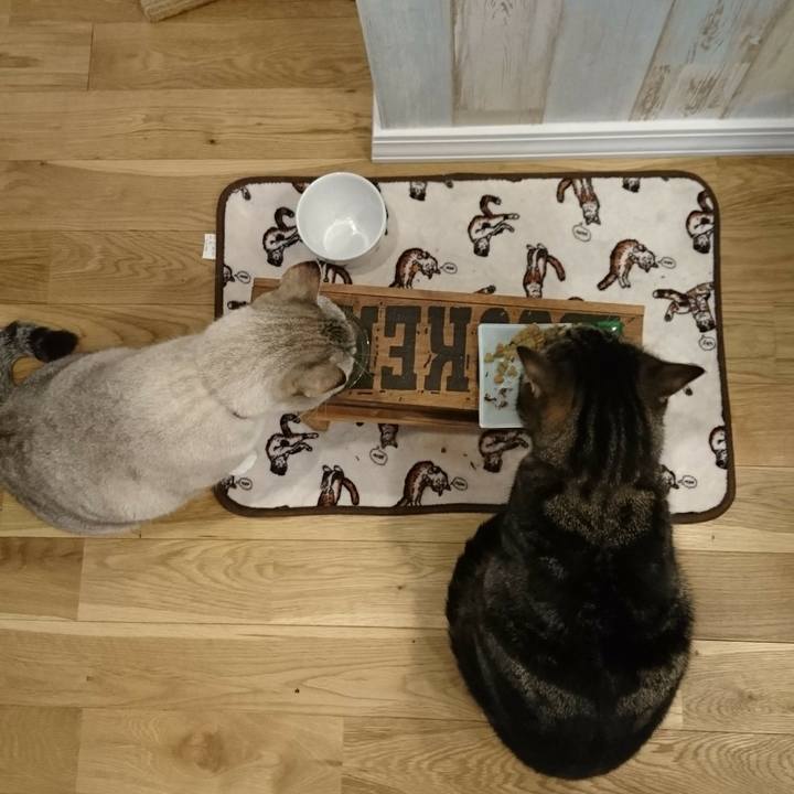 907cecbc f0d8 4835 ab3f da087e113c5d 1579821021648