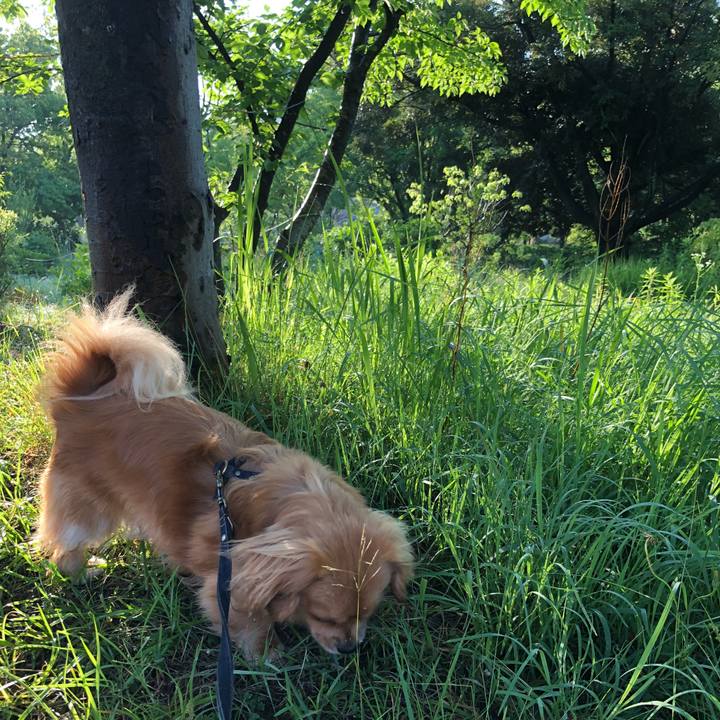 907cfa11 bf8e 4af2 886a 0c60c29fb8ff 1527801842388