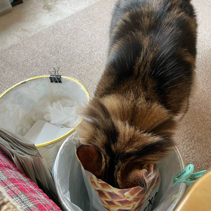 907d18ab 2511 436f 8532 b3f288470c22 1644646357105