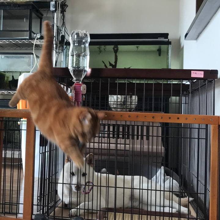 907d5891 bce8 4cb4 af17 ab153d53036e 1555630842676