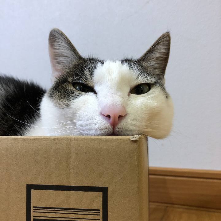 907d7db9 39bf 4c3e 8437 274ae5f54240 1649335784351