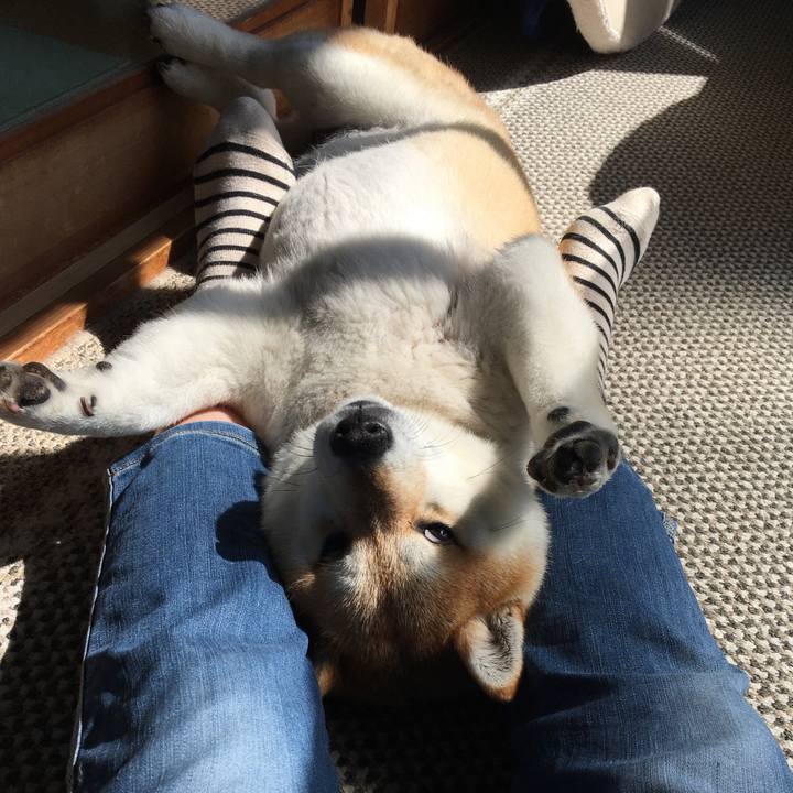 907d8dd3 6ad2 4df5 a322 1163befc9f0e 1646345106982