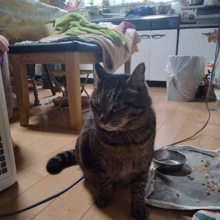 907dc29c 44bd 4149 8f3e 773dc34445de 1678487900740