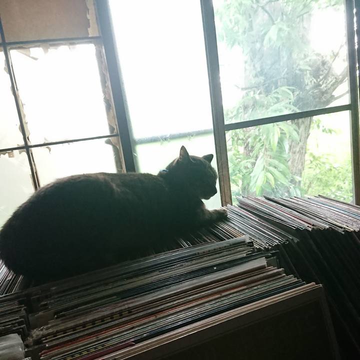 907ddb75 364e 47ae ad24 93803775e829 1656304239823