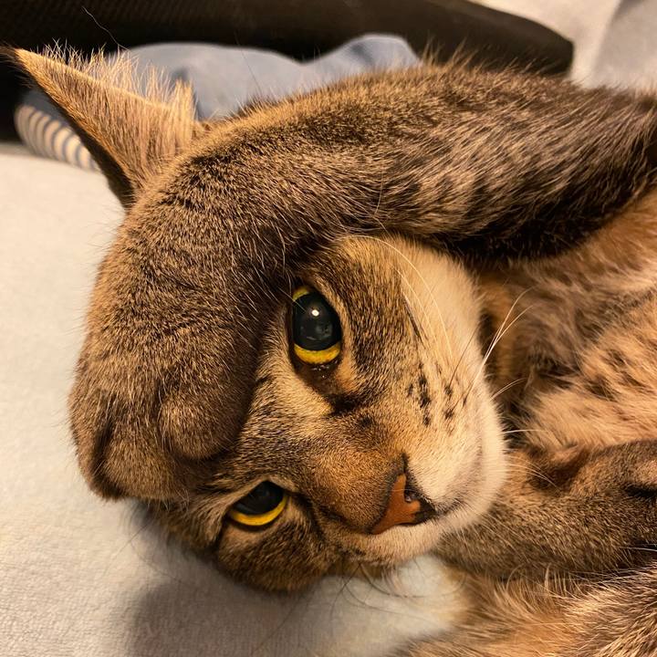 907df819 9634 4fb6 852a dbccb65357d6 1619677459039