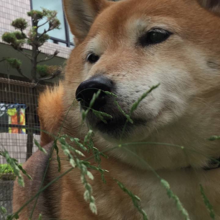 907e0ab3 3be1 4cd7 9967 762c3d0326f8 1587958465053