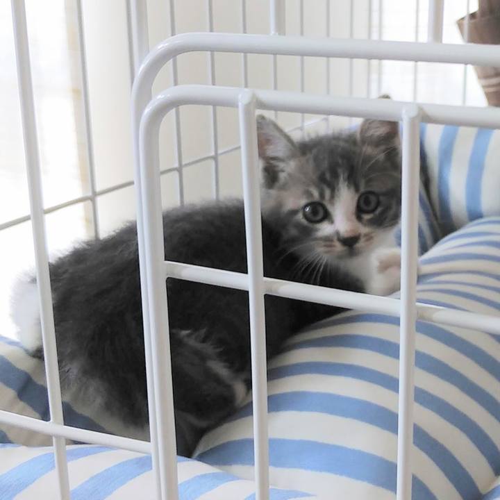 907e1dc9 57ba 4a30 96c5 0beebfa644aa 1686440956352