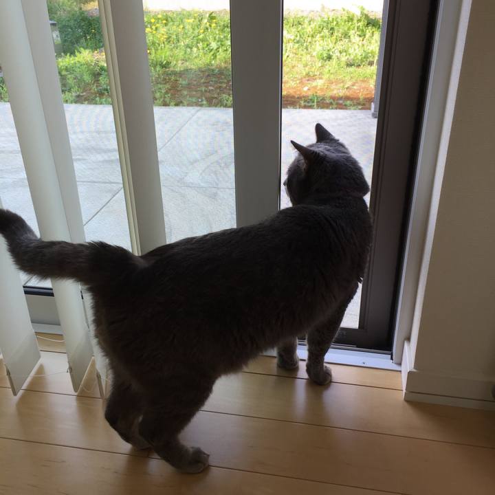 907e3f4a e03d 40bf 8e29 47d4311102ec 1565941198507