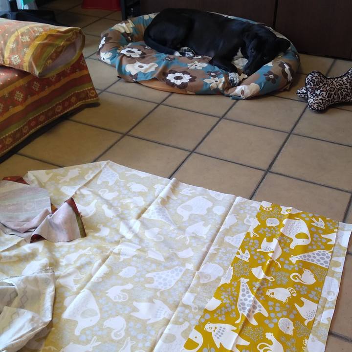 907e4cc7 997a 477a 9b10 91a6be59b609 1592889452149