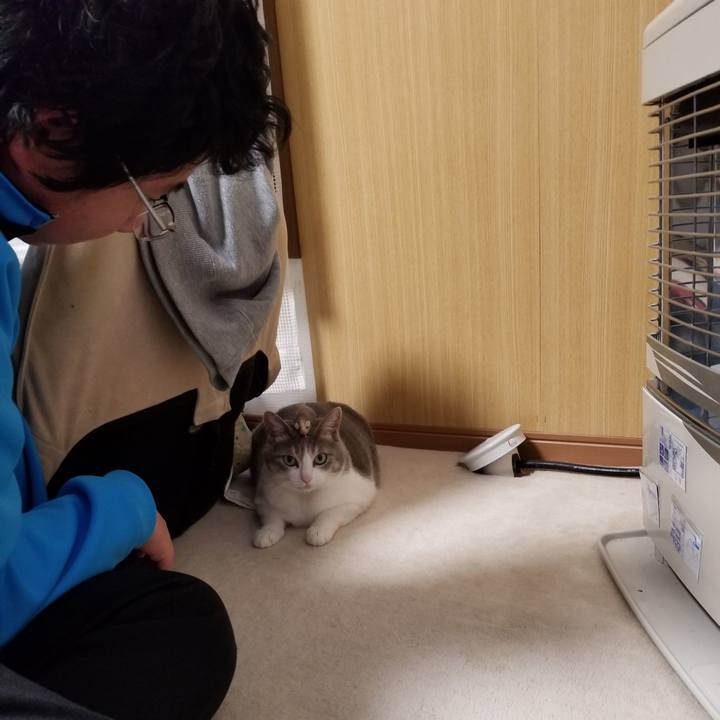 907e52bc 3d0b 47a3 8110 18ade1c09f6c 1645200639957