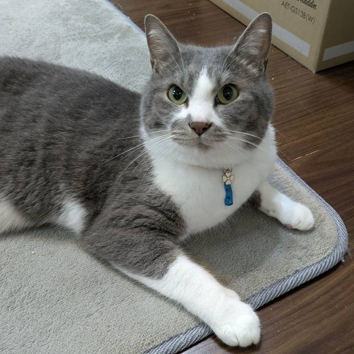 907e7029 18c8 4352 95c9 0a069e981c38 1749596601683