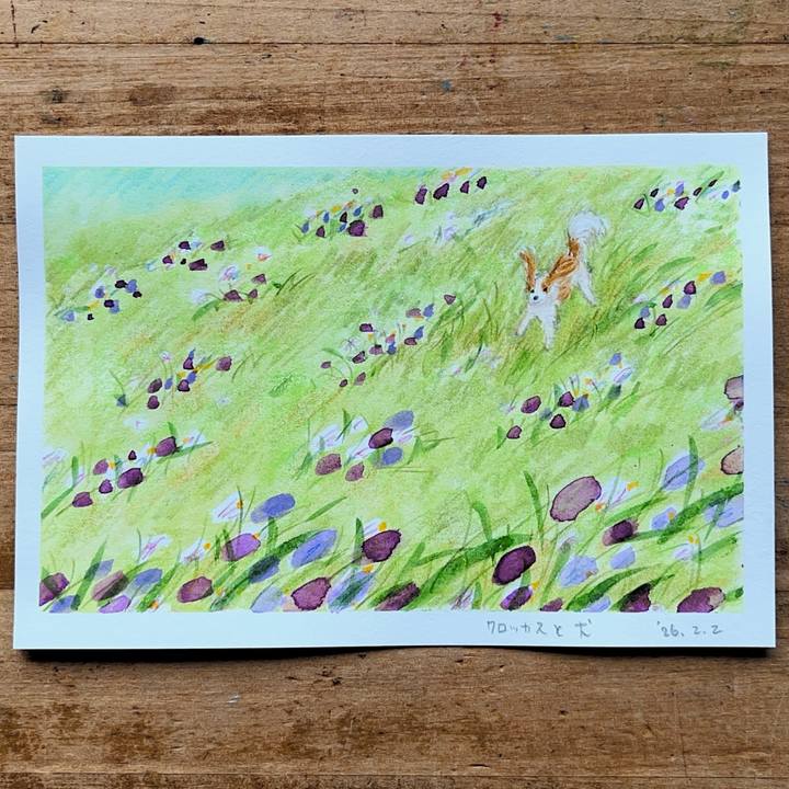 907e7e49 1c09 4398 9d00 8e7701406e62 1770003443742