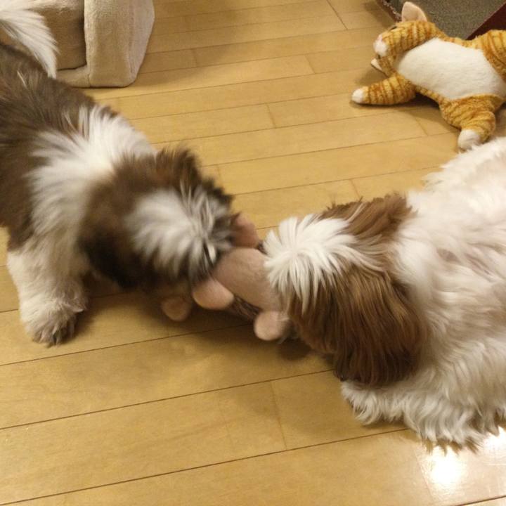 907eadbd eb6d 4b58 8851 128918aeb188 1616854118895