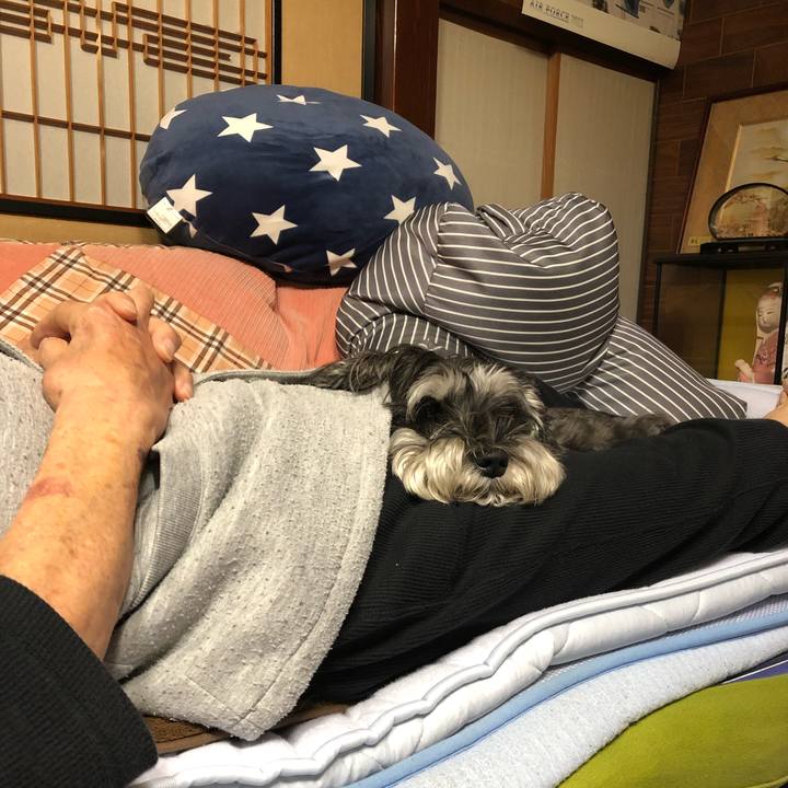 907eb51d 44b9 4757 9070 f4df8267f80d 1666180504511