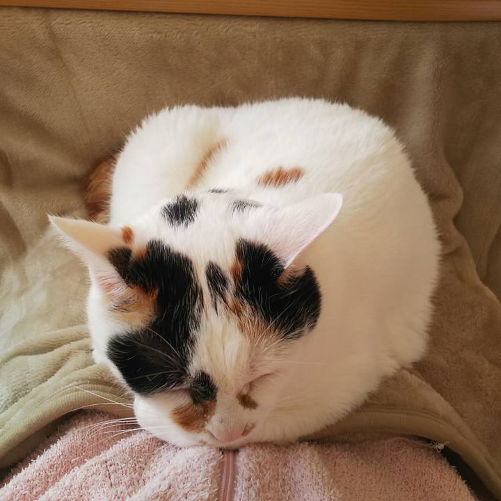 907ed096 27c6 4027 a134 16ffc2e2f606 1573171259578