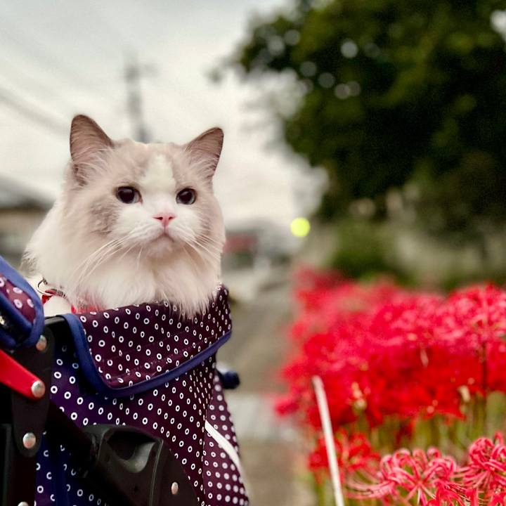 907f0ebb 3322 4514 989c 73320a18954b 1664225279356