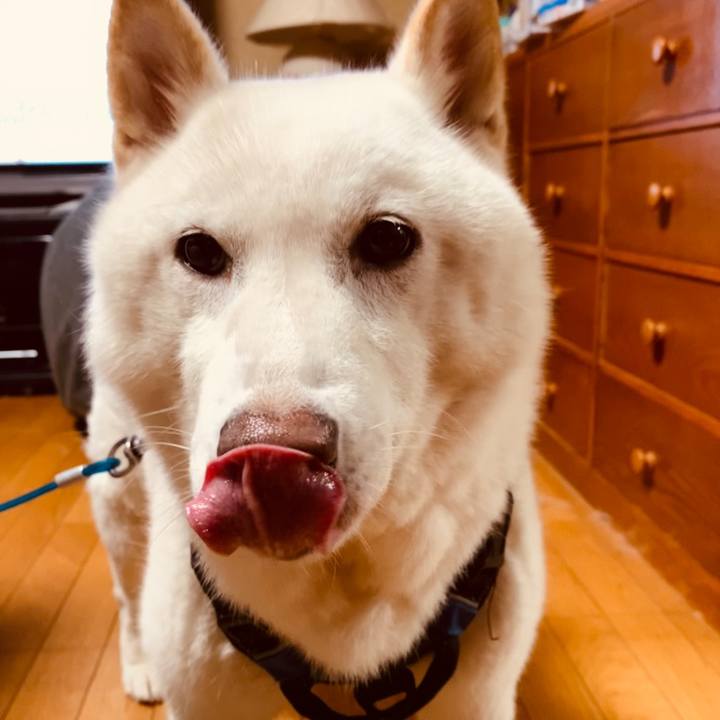 907f1dde 2417 4a8c 94e4 73f54e6fa1b5 1664572759824