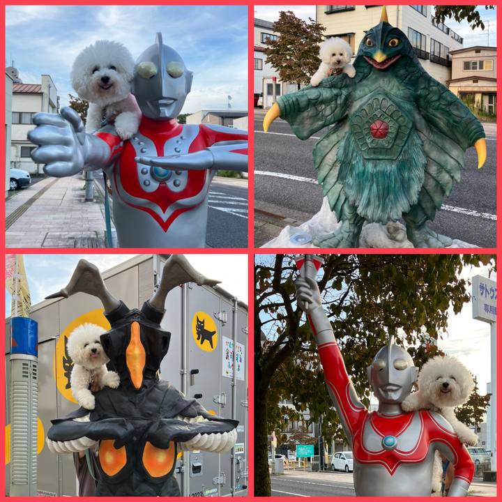 907f2721 299e 4b8f b63d 516f271dd4e9 1665053948981