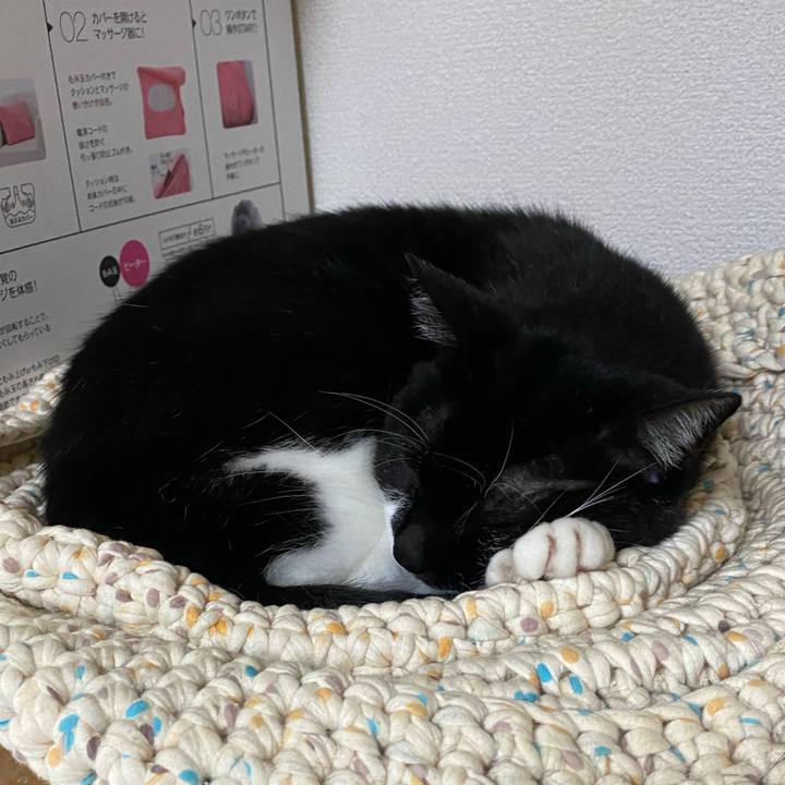 907f6a2b 0b96 48ee 9651 9837b3b12d7d 1730174758729