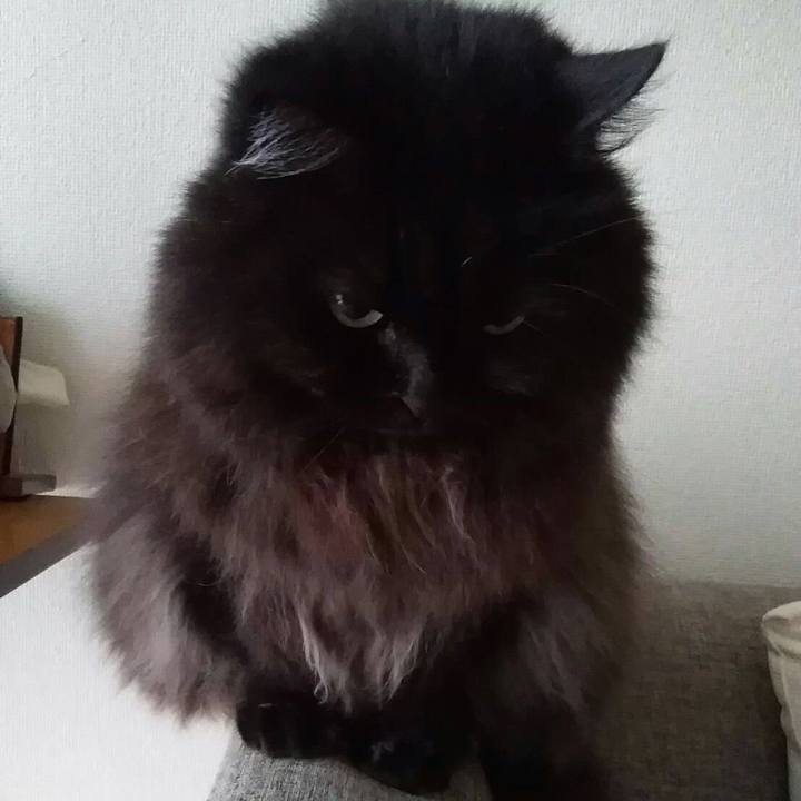 907f9e39 6755 4342 9839 fb3904b8f965 1517310491045