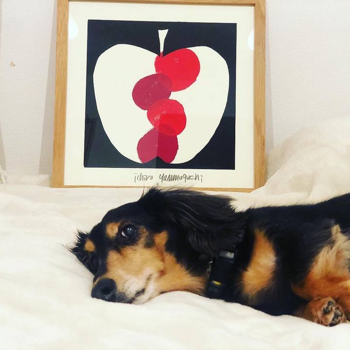 907fbc9f cbb8 4156 819c 7599e366e689 1613628100173