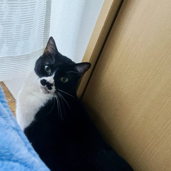 907fcd07 237f 4b81 9230 67583fac03dd 1714516610214