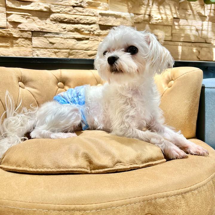 9080423f 7fe9 45d9 8e82 d6147700f044 1657248937536