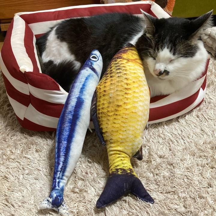 908045be 6f2f 40da 9cc4 6d2c80ad9013 1705744878350