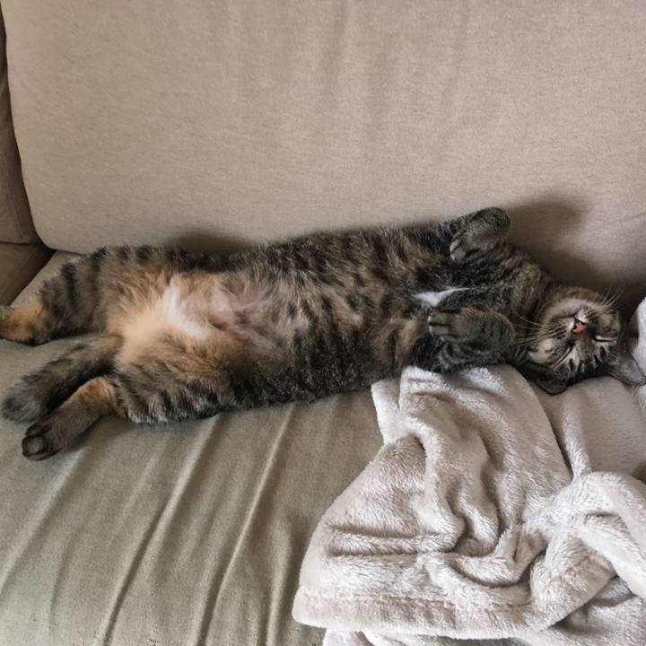 9080487c 63ed 42e6 969d ff71c215fe63 1536668801858