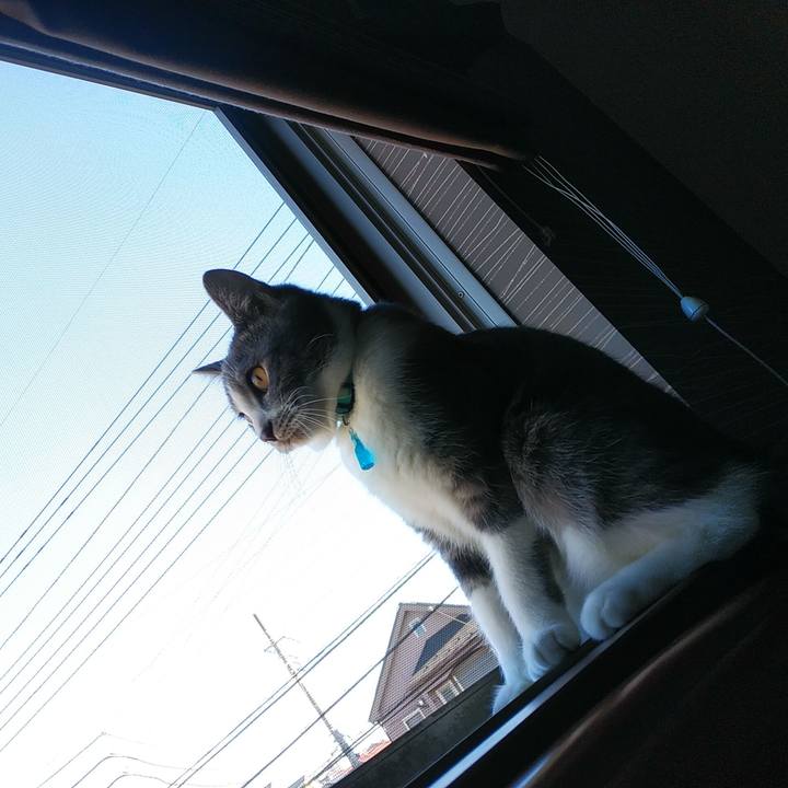 90807178 7e9b 4454 83d8 ca6051d24d51 1573776329788