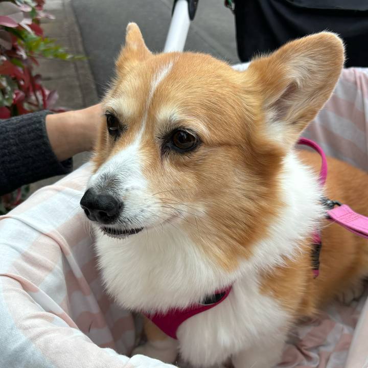 9080831d 2341 4088 ba11 49608c611bc4 1735191059595