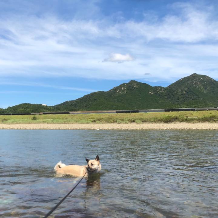 9080bb4a d24e 4843 83d8 a5fc3e0d2d03 1565595123774