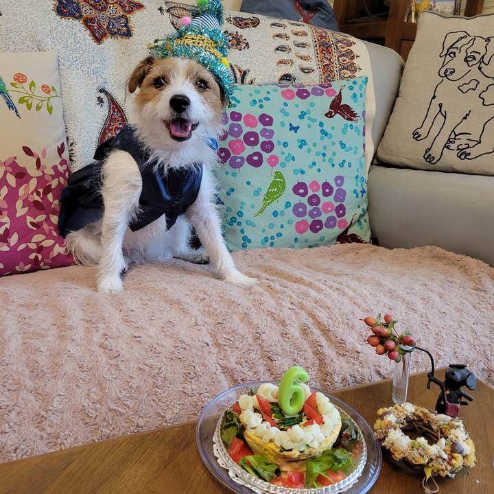 9080eb44 3ab2 4bd9 b504 34a5340edc68 1667048897243