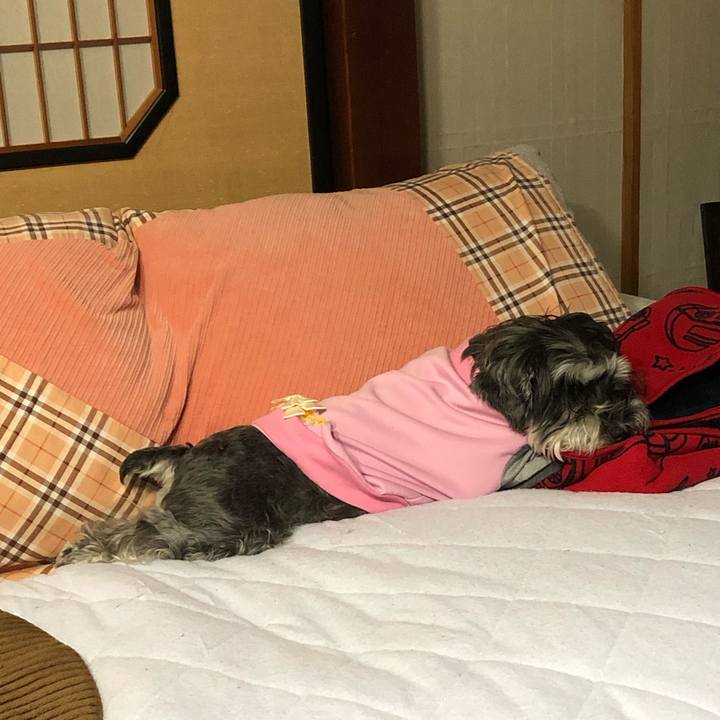 9080faf8 b0a4 40a3 9925 a90d1e70cf9d 1666363866415