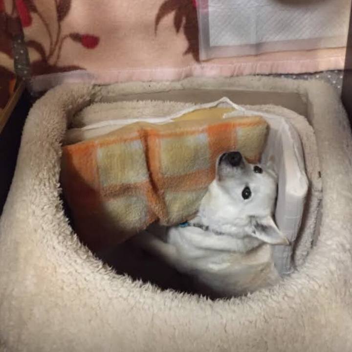 9081214b f9bc 4106 9c77 4b8f21395eb9 1601474873345