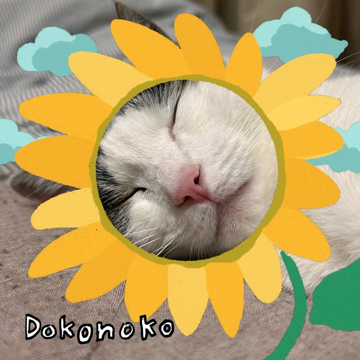 90815034 3e93 42d4 a4f1 97c5327d4fda 1723642010882