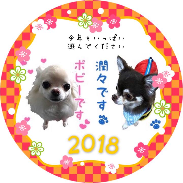 9082050e d950 4531 95db 79e53a3567e6 1514780627367