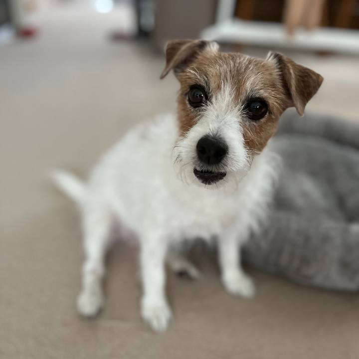 90825658 54a2 4e22 aa55 f4dcb575b4e0 1730605279126