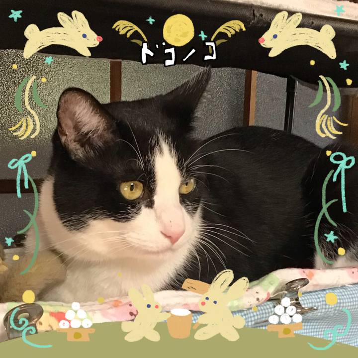 908282cd f587 42bf 899e b20bd05f85fd 1726823727651