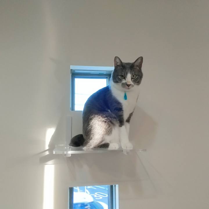 90828f2a 51ff 480a ab84 c2ce38118db2 1636275174725